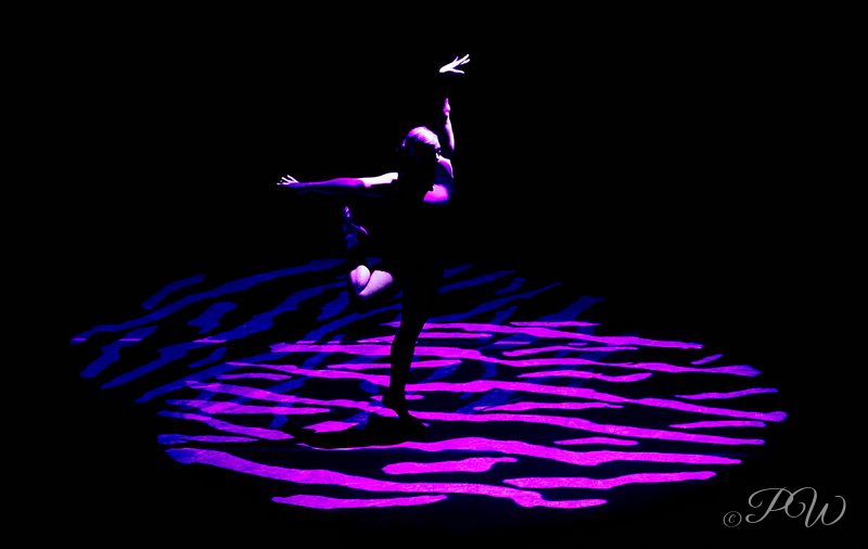 A dancer balances on one leg inside a patterned pool of purple light