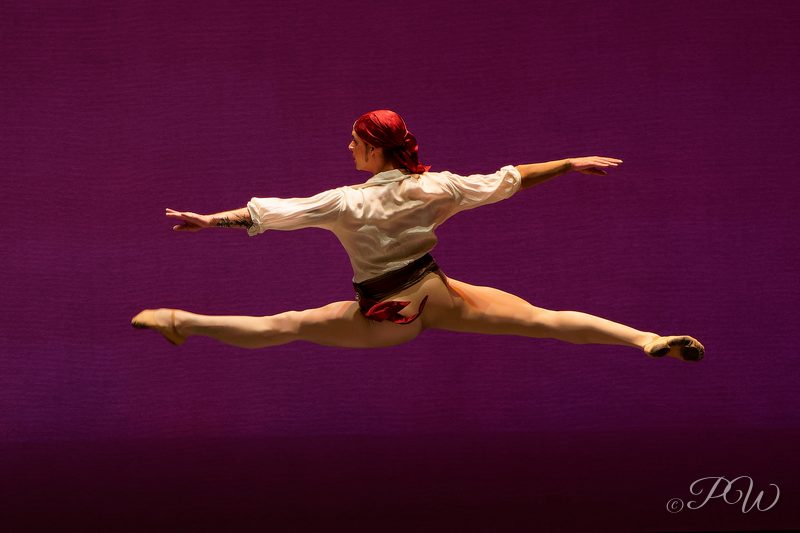 Spring to Dance festival, Touhill Performing Arts Center, St. Louis, 2019