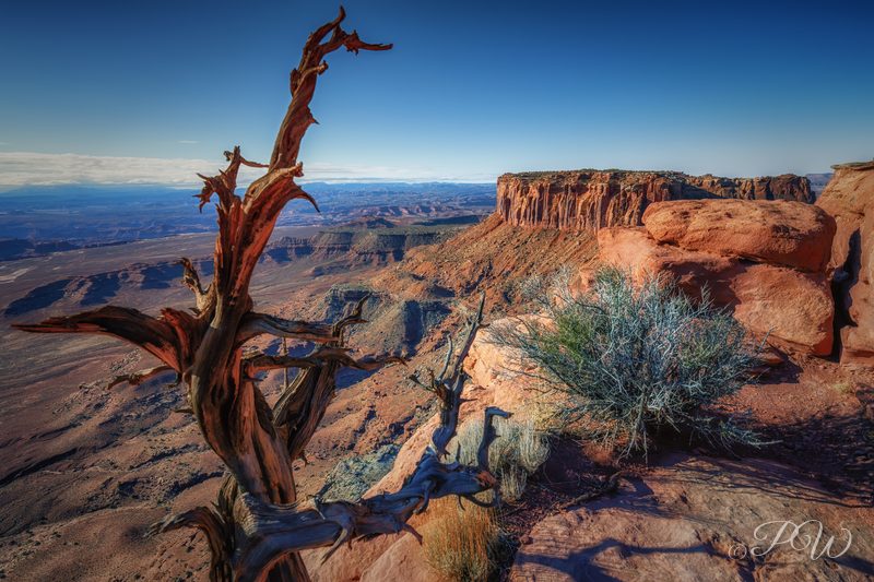 Grand View Point Overlook in Island in the Sky part of Canyonlands National Park, Utah