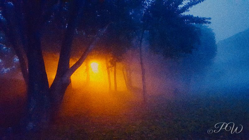 Lamp glowing through blue fog among trees