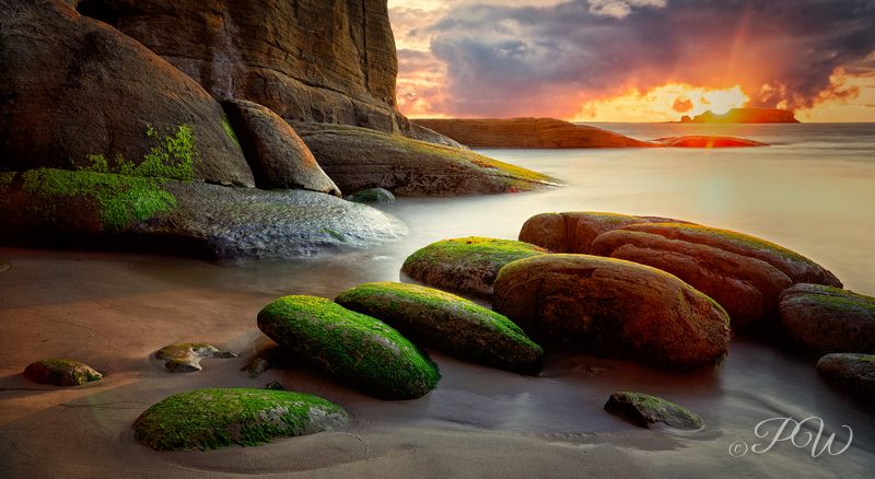 Green algae on the rocks at Devil's Punchbowl in Otter Rock, Oregon at sunset