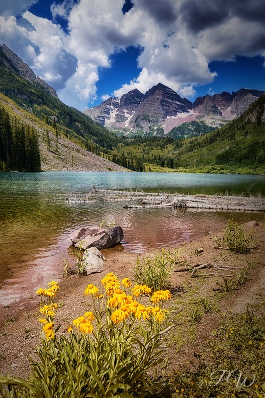Yellow wildflowers and a still mountain lake below two peaks under white clouds