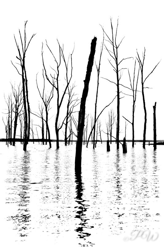 Mark Twain Lake in Missouri