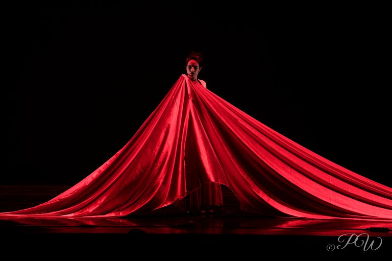 Spring to Dance festival, Touhill Performing Arts Center, St. Louis, 2019