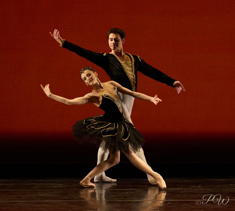 Two ballet dancers in black costumes in a duet against a red backdrop