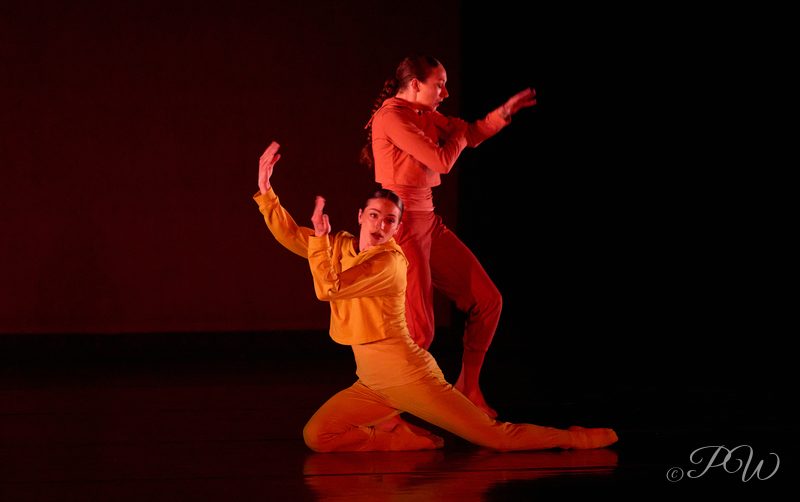 Two dancers in a dramatic pose lit in red on a dark stage