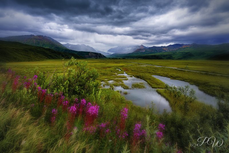 Gulkana Glacier near Paxson, Alaska