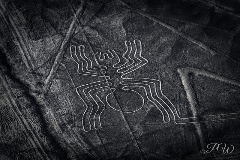 A many-legged figure etched into the desert among straight lines, from the air in black and white
