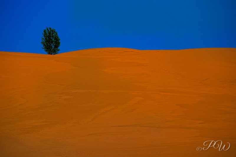 Silver Lake, Michigan sand dunes